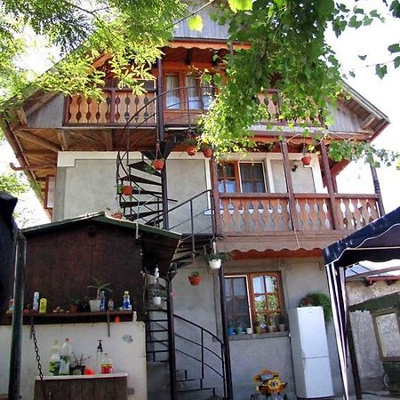 Casa Oana Ξενοδοχείο Σουλινάς Εξωτερικό φωτογραφία