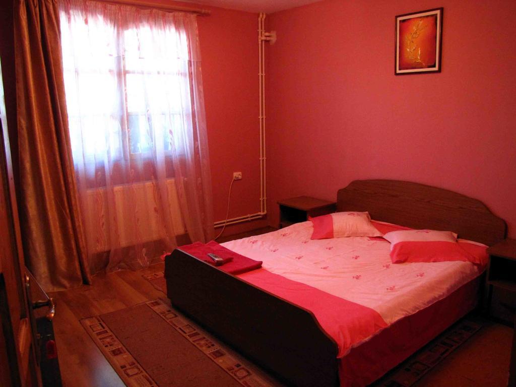 Casa Oana Ξενοδοχείο Σουλινάς Δωμάτιο φωτογραφία