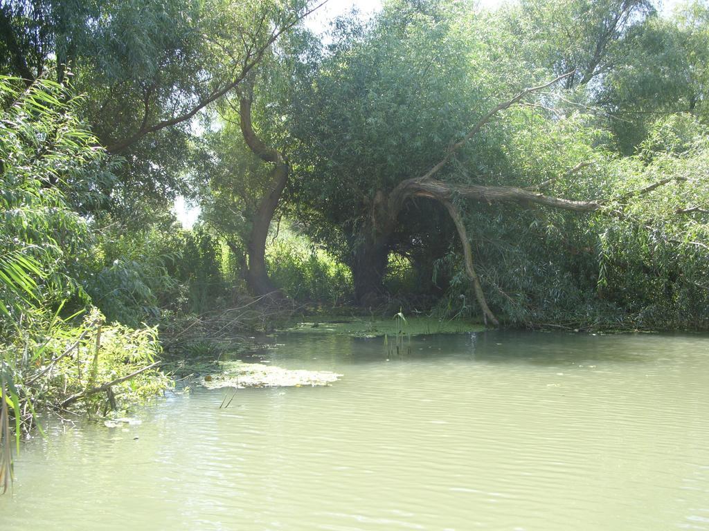 Casa Oana Ξενοδοχείο Σουλινάς Εξωτερικό φωτογραφία